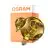 Osram Decor LED Lamp Gold Glass E27 3.5W 300lm - 827 Extra Warm White | Replaces 25W