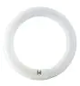 Osram T9 Lumilux Circline 32W - 840 Cool White | 30cm