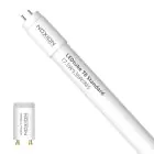 Noxion LED Tube T8 Avant (EM/Mains) Standard Output 15W 1800lm - 865 Daylight | 120cm - Replaces 36W